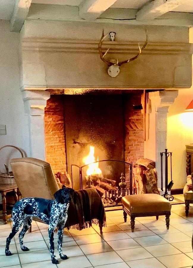 Saint-Hilaire-des-Loges Logis De La Touche B&B 외부 사진