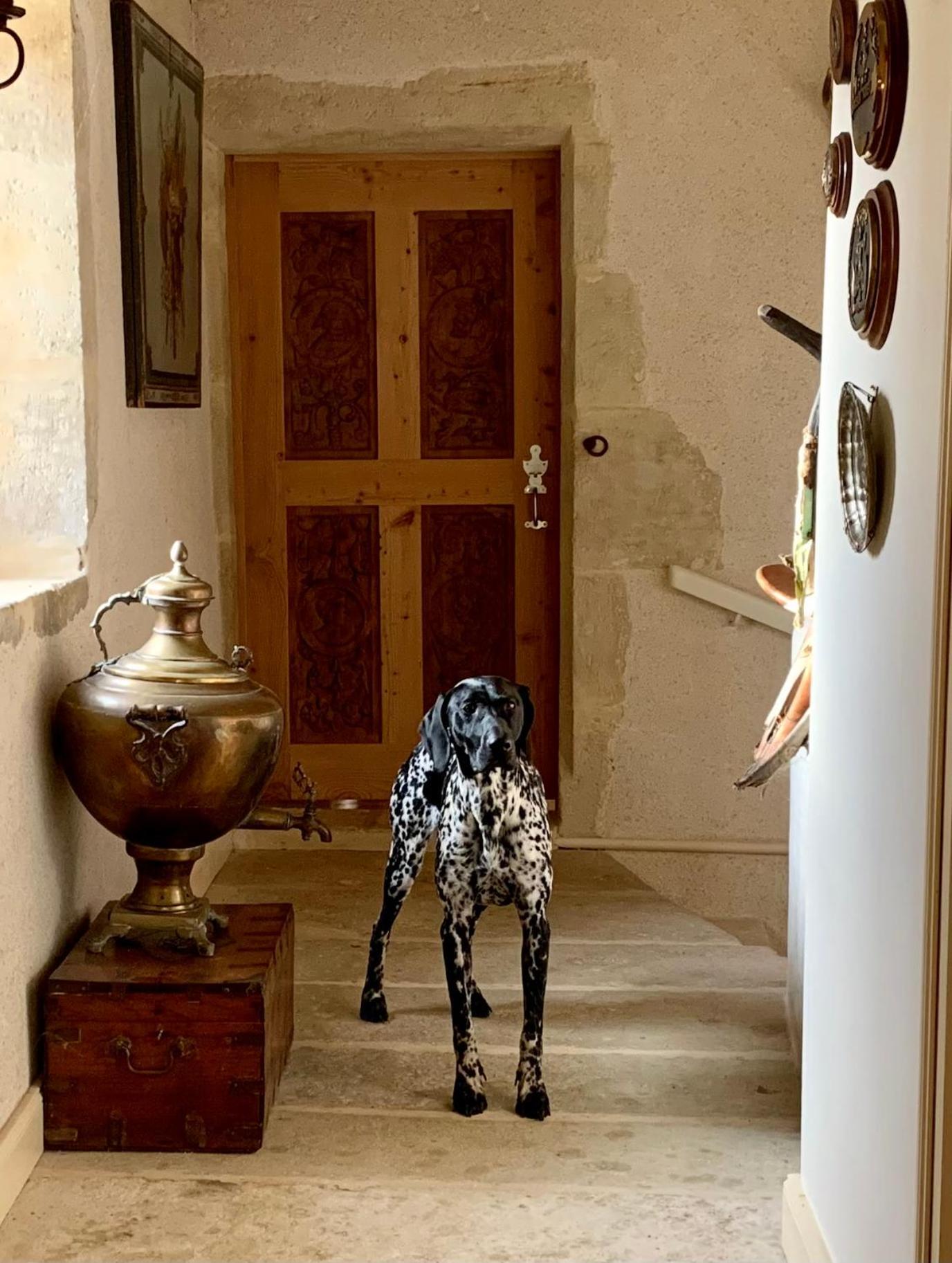 Saint-Hilaire-des-Loges Logis De La Touche B&B 외부 사진